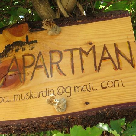 Apartman Biba Lubenice Ngoại thất bức ảnh